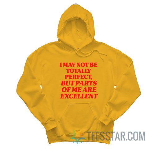 I May Not Be Totally Perfect But Parts Of Me Are Excellent Hoodie