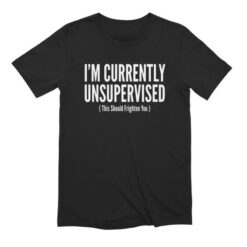 I Am Currently Unsupervised T-Shirt