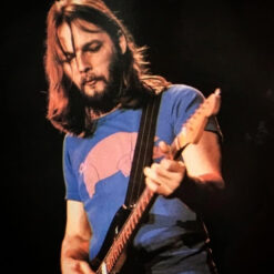 David Gilmour's Pigs On The Wing Pink Floyd T-Shirt