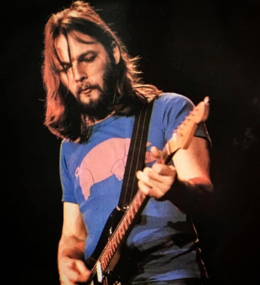 David Gilmour's Pigs On The Wing Pink Floyd T-Shirt