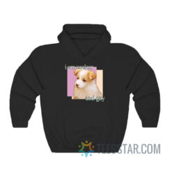 The Dog I Am Useless And Gay Meme Hoodie