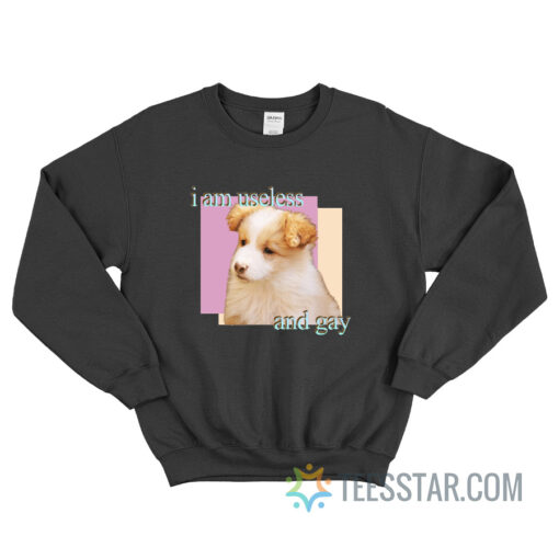 The Dog I Am Useless And Gay Meme Sweatshirt