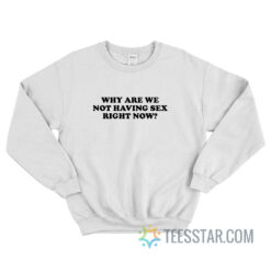 Why Are We Not Having Sex Right Now Sweatshirt