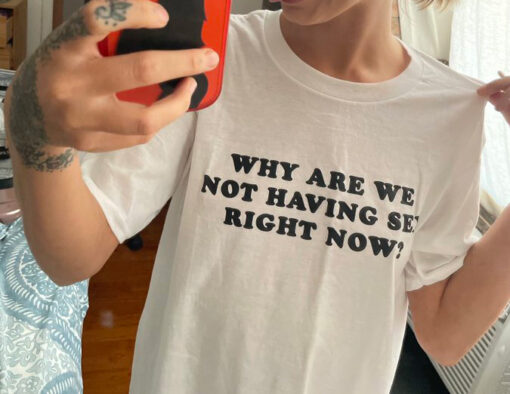 Why Are We Not Having Sex Right Now T-Shirt