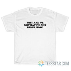 Why Are We Not Having Sex Right Now T-Shirt