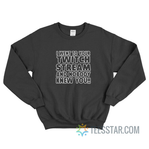 I Went To Your Twitch Stream And Nobody Knew You Sweatshirt