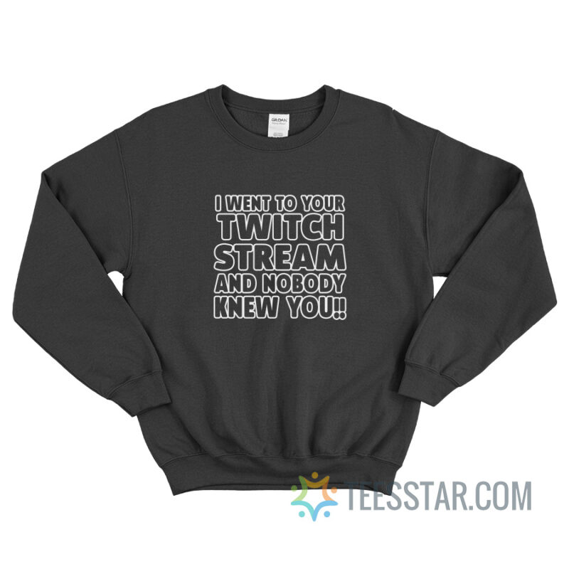 I Went To Your Twitch Stream And Nobody Knew You Sweatshirt