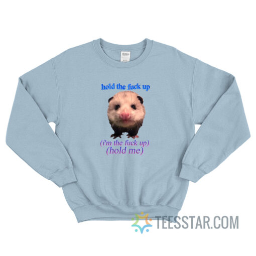 Possum Hold The Fuck Up Sweatshirt For Unisex