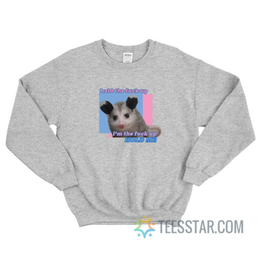 Possum Hold The Fuck Up Sweatshirt For Unisex