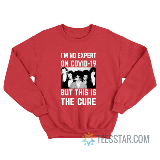 Im No Expert Covid 19 This Is The Cure Sweatshirt