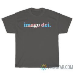 Imago Dei Pride Transgender T-Shirt