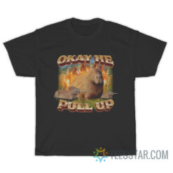 Okay He Pull Up Capybara T-Shirt