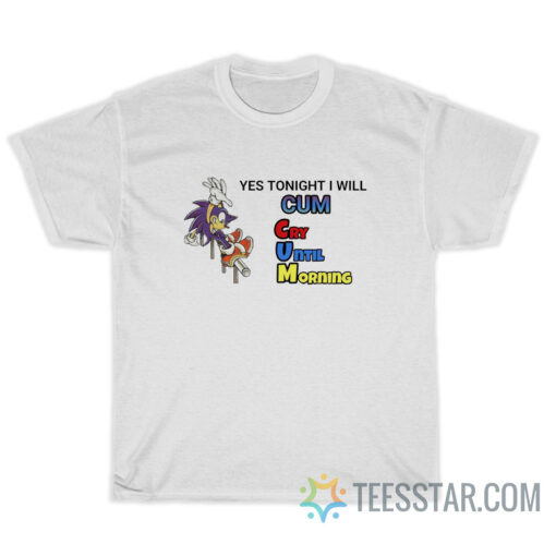 Sonic Yes Tonight I Will Cum T-Shirt