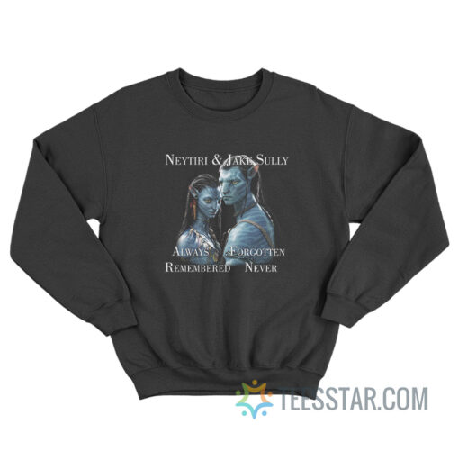 Neytiri And Jake Sully Always Forgotten Remembered Never Sweatshirt