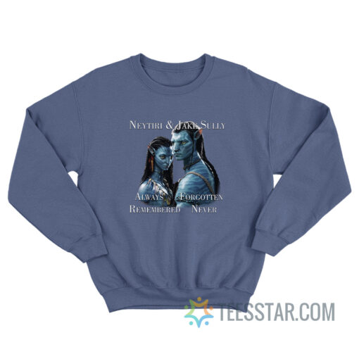 Neytiri And Jake Sully Always Forgotten Remembered Never Sweatshirt