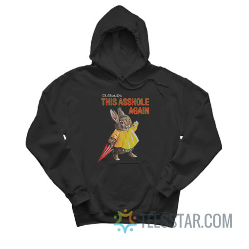 Oh Christ It's This Asshole Again Hoodie