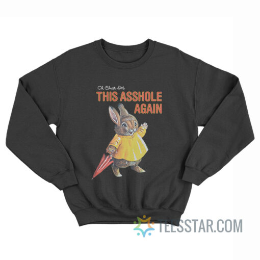 Oh Christ It's This Asshole Again Sweatshirt