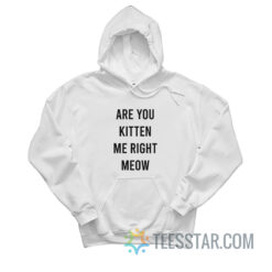 Are You Kitten Me Right Meow Hoodie