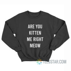 Are You Kitten Me Right Meow Sweatshirt