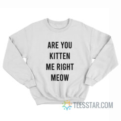 Are You Kitten Me Right Meow Sweatshirt