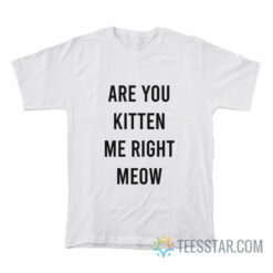 Are You Kitten Me Right Meow T-Shirt