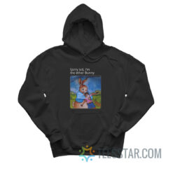 Sorry Kid I'm The Ether Bunny Hoodie