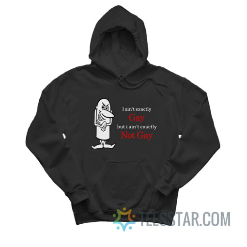 I Ain't Exactly Gay But I Ain't Exactly Not Gay Hoodie