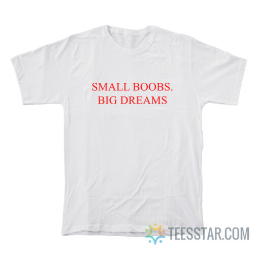 Small Boobs Big Dreams T-Shirt