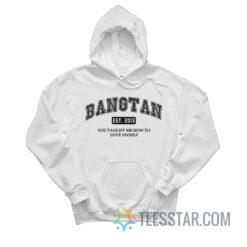 Bangtan Est 2013 You Taught Me How To Love Myself Hoodie