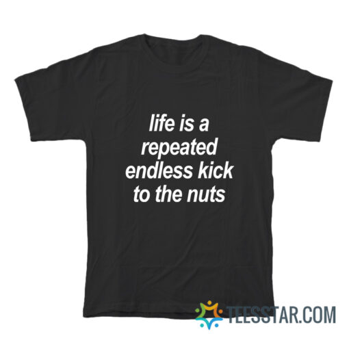 Life Is A Repeated Endless Kick To The Nuts T-Shirt