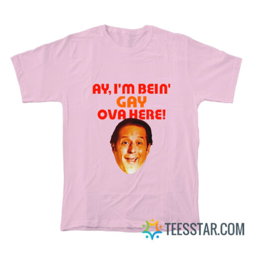 Sean Rinaldi For Comptroller Ay I'm Bein' Gay Ova Here T-Shirt