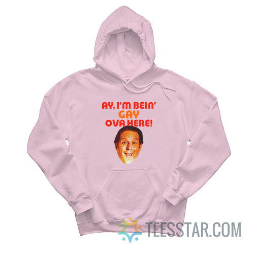 Sean Rinaldi For Comptroller Ay I'm Bein' Gay Ova Here Hoodie