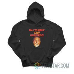 Sean Rinaldi For Comptroller Ay I'm Bein' Gay Ova Here Hoodie