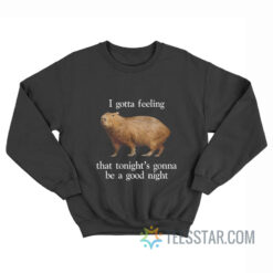 I Gotta Feeling That Tonight's Gonna Be A Good Night Sweatshirt