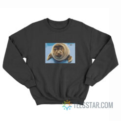 Toba Aquarium Baby Seal Sweatshirt