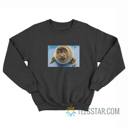 Toba Aquarium Baby Seal Sweatshirt