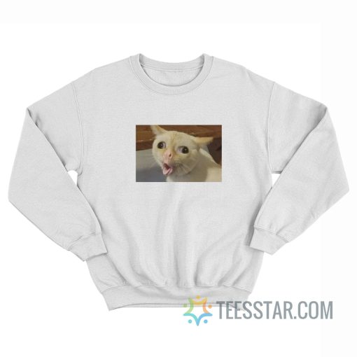 Coughing Cat Meme Sweatshirt