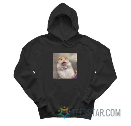 Scared Hamster Funny Meme Hoodie