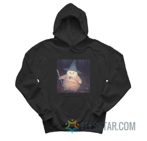 Cat Cheeseball The Wizard Hoodie