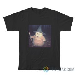 Cat Cheeseball The Wizard T-Shirt